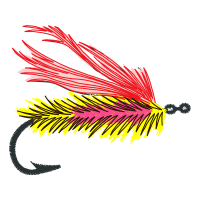Graphic Other