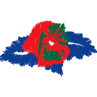 Graphic Other