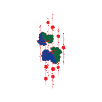 Graphic Other
