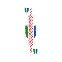 Graphic Other