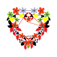 Graphic Other