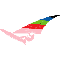 Graphic Other