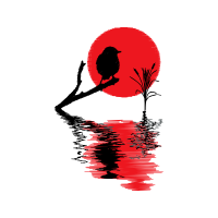 Graphic Other