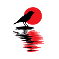 Graphic Other