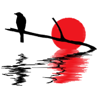 Graphic Other