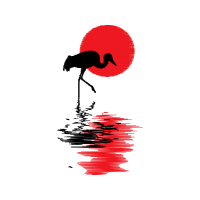 Graphic Other
