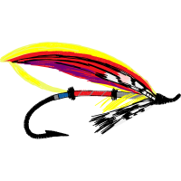 Graphic Other