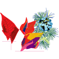 Graphic Other