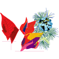 Graphic Other