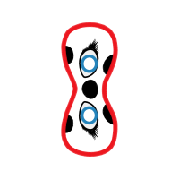 Graphic Other