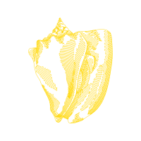 Graphic Other