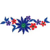 Graphic Other