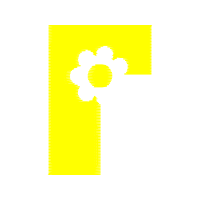 Graphic Other