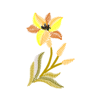 Graphic Other