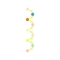 Graphic Other