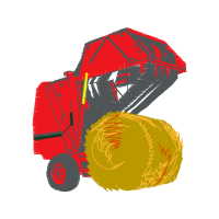 Graphic Other