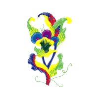 Graphic Other