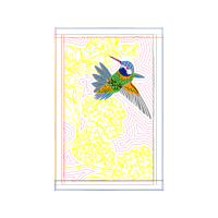 Graphic Other