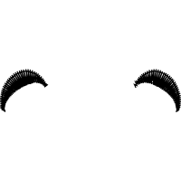 Graphic Other