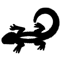 Graphic Other