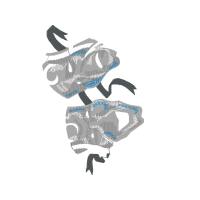 Graphic Other