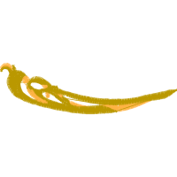 Graphic Other