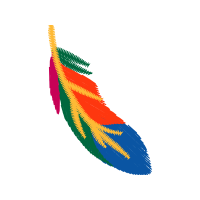 Graphic Other