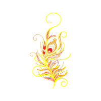 Graphic Other