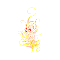 Graphic Other