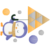 Graphic Other