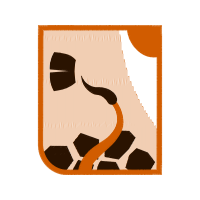 Graphic Other