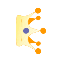 Graphic Other