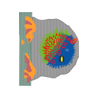 Graphic Other