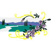 Graphic Other