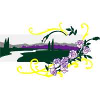 Graphic Other