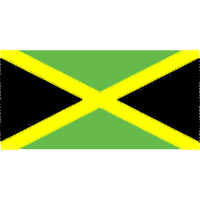 Graphic Other