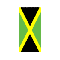 Graphic Other