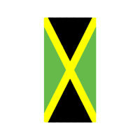 Graphic Other