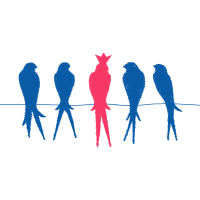 Graphics Other