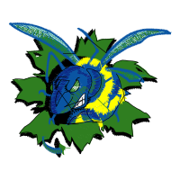 Graphics Other