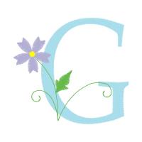 Graphics Other