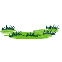 Graphics Other