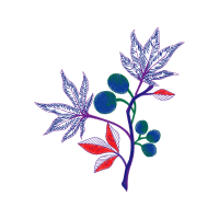 Graphics Other