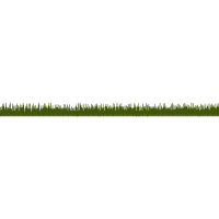 Grass Other