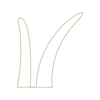 Grass Other