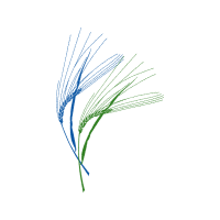 Grass Other