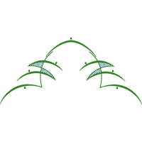 Grass Other