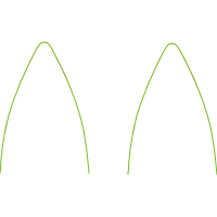 Grass Other