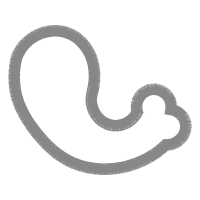 Grass Snake Other