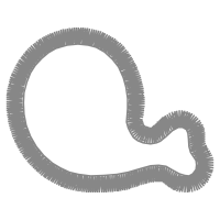 Grass Snake Other